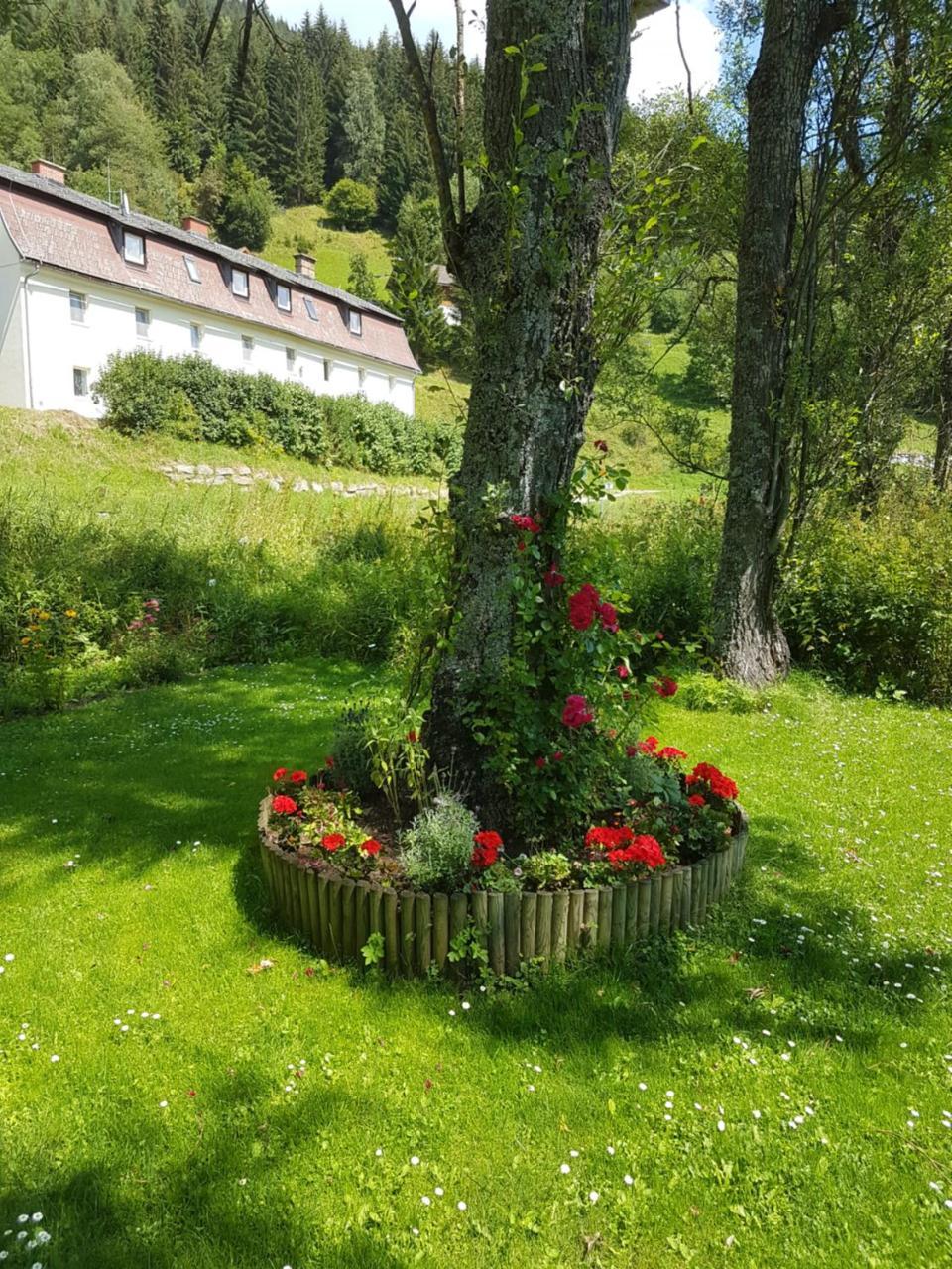 Riverside Ski Apartment Ramingstein Dış mekan fotoğraf