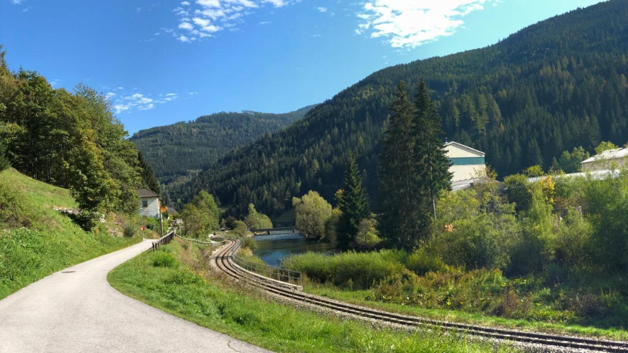 Riverside Ski Apartment Ramingstein Dış mekan fotoğraf