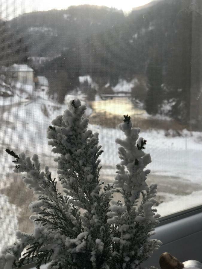 Riverside Ski Apartment Ramingstein Dış mekan fotoğraf