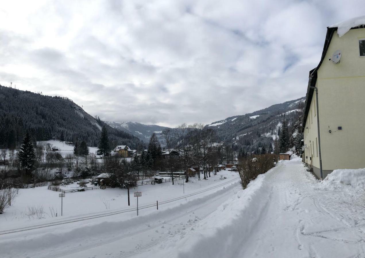 Riverside Ski Apartment Ramingstein Dış mekan fotoğraf